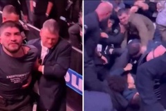 Hỗn chiến lớn tại UFC 322 giữa Dillon Danis với ê-kip phía Khabib