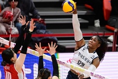 Joy ghi 35 điểm vẫn bất lực, Pepper Savings Bank dừng bước trước Korea Expressway