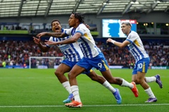 Dự đoán Brighton vs Bournemouth, 3h00 ngày 20/1, Ngoại hạng Anh 2025/26
