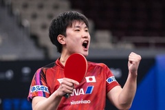 Vì sao Tomokazu Harimoto cho rằng bóng bàn Nhật Bản có thực lực ngang ngửa Trung Quốc?