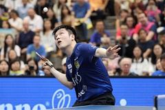 Một mùa, một di sản: Fan Zhendong tái định nghĩa bóng bàn châu Âu