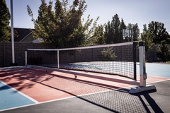 Từ bóng rổ sang pickleball giúp Dominator chinh phục thị trường tỷ USD