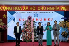 Từ SEA Games đến CLB Quốc tế: TPHCM chính thức đặt mục tiêu trở thành trung tâm bóng chày số 1 cả nước