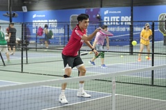 Luật Pickleball USA tại Việt Nam năm 2025 mới nhất: Phần 7 và cuối - Quản lý giải đấu và trọng tài