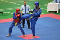 450 võ sĩ tranh tài Giải vô địch Vovinam toàn quốc 2024