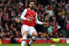 Tin bóng đá 20/6: Arsenal mua đứt hậu vệ chấn thương nghỉ hết mùa