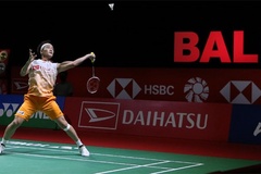 Kết quả cầu lông mới nhất 17/11: Indonesia Masters khởi đầu sốc, nhưng Momota vào vòng 2