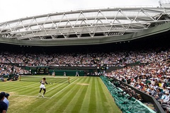 Giải tennis Wimbledon 2021 có bao nhiêu tiền thưởng?