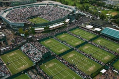 Kết quả tennis và lịch thi đấu Wimbledon mới nhất