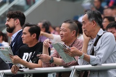 Đua ngựa cứu Hong Kong Trung Quốc thất thu nặng do mất cá cược bóng đá