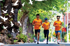 Hồng Lệ nhận xét đường đua marathon quốc gia ở Côn Đảo trước thềm SEA Games 31