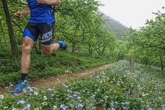 Vietnam Trail Marathon 2019: Đường chạy lãng mạn ở thiên đường du lịch Mộc Châu