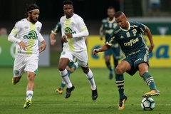 Nhận định, dự đoán Chapecoense vs Palmeiras 05h00, 03/06 (vòng 7 VĐQG Brazil)