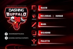Phong Vũ Buffalo đổi tên thành Dashing Buffalo, công bố đội hình mới