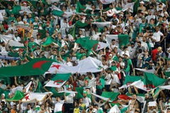 Chung kết CAN Cup 2019: Algeria huy động 28 máy bay chở 4.800 CĐV sang Ai Cập