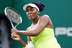 Trước thềm giải quần vợt US Open 2019: Phát hiện "thần dược" của Venus Williams