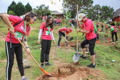 Hàng trăm VĐV chạy Langbiang Trail 2019 để trồng mai anh đào bảo vệ môi trường