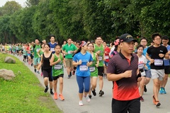 Ecopark Marathon 2020 vượt mốc 2500 vận động viên