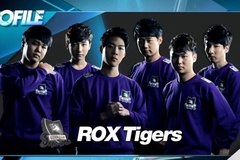 Người hâm mộ LMHT hào hứng trước viễn cảnh ROX 2016 comeback