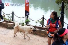 Chú chó hai tuổi được tặng kỷ niệm chương hoàn thành 42km Vietnam Trail Marathon 2020