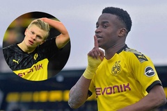 Dortmund có kế hoạch ra mắt tiền đạo ghi bàn "khủng" hơn Haaland