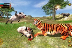 Tiger Simulator 3D: Cách tải game trên APK cho Android