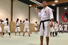 Di sản kỹ thuật Karate trên đấu trường MMA