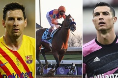 Con ngựa kiếm được nhiều gấp 20 lần Messi và Ronaldo năm 2020