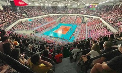 PVL lọt top 10 chủ đề thể thao được tìm kiếm nhiều nhất 2025 tại Philippines