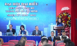 Chuyển đổi mô hình quản trị: Liên đoàn Bóng rổ TP.HCM và mục tiêu tự chủ kinh tế nhiệm kỳ 2026-2031