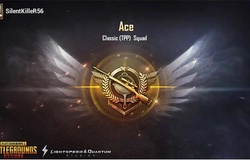 Check rank PUBG PC và Mobile ở đâu?