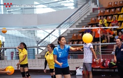 Cựu sao bóng chuyền BTL Thông tin vui tuổi già với bóng chuyền hơi