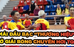 Mái đầu bạc "thương hiệu" xuất hiện ở giải Bóng chuyền hơi