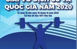 Lịch thi đấu giải cử tại toàn quốc năm 2020