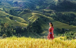 Hoa khôi bóng chuyền Phạm Thị Yến lung linh giữa khung trời Hà Giang