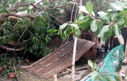 Căn nhà tuổi thơ Hồng Lệ ở quê Bình Định tan hoang vì bão số 9