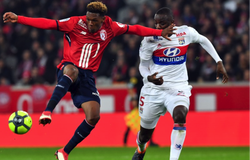 Nhận định Lille vs Lyon, 03h00 ngày 02/11, VĐQG Pháp