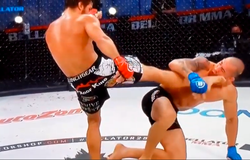 Võ sĩ Bellator suýt mất chiến thắng knockout vì bị nhầm đòn cấm