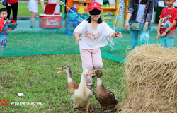 Bắt vịt, leo núi, bắn cung và những màn khởi động ấn tượng trước thềm Mekong Delta Marathon 2020
