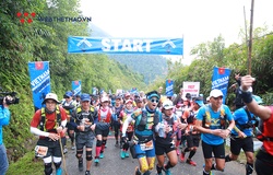 Vietnam Mountain Marathon 2020 quy tụ nhiều ngôi sao chạy đường dài và người nổi tiếng