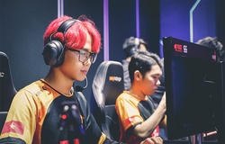 Tin chuyển nhượng LMHT 24/11: Palette ở lại FL; Thương vụ Viper đổ vỡ?