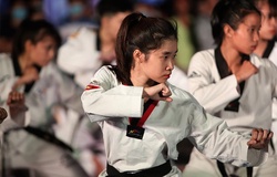 Nét đặc biệt từ 2 tấm huy chương vàng … online của tuyển quyền Taekwondo Việt Nam