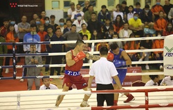 Tổng hợp kết quả Giải Vô địch Boxing quốc gia 2020