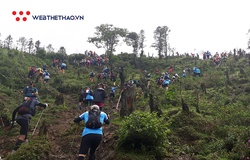 Điều kiện tham dự cự ly siêu khủng 160km của giải chạy đường mòn Sa Pa gây sốt