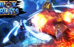 Code Blox Fruit tháng 2/2021 mới nhất