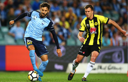 Trực tiếp Sydney vs Wellington Phoenix, bóng đá Úc hôm nay 8/2