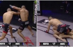 Võ sĩ MMA Steven Nguyễn dính cơn bão chỉ trích vì đánh gáy đối thủ đã gục