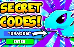 Code My Dragon Tycoon Roblox 2021: Chi tiết cách nhập và nhận code