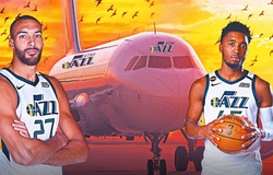 Máy bay của Utah Jazz hạ cánh khẩn cấp vì... chim