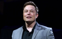Elon Musk tham gia ban giám đốc công ty mẹ của UFC?